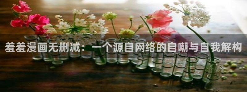 omofun动漫官方：羞羞漫画无删减：一个源自网络的自嘲与自我解构