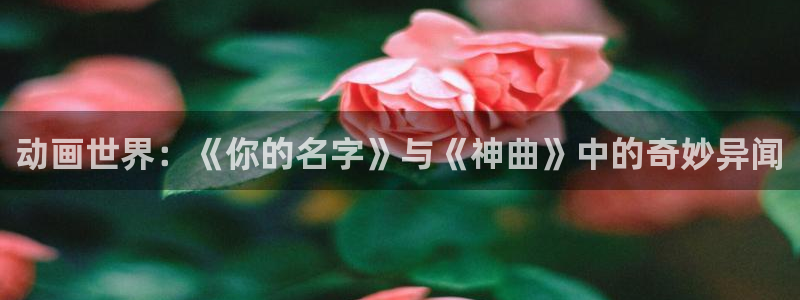 o站(omofun)官网：动画世界：《你的名字》与《神曲》中的奇妙异闻