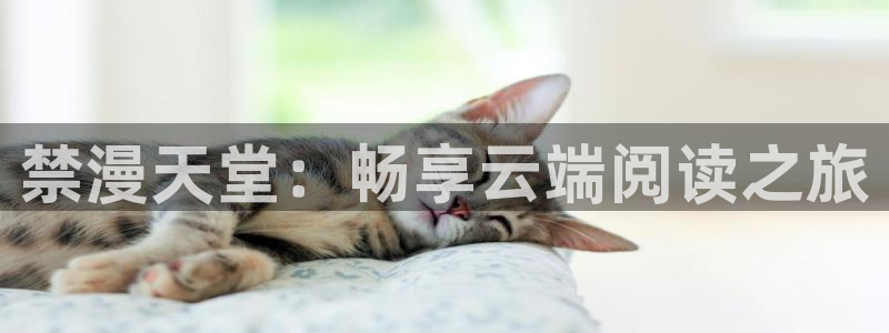 omofun. com：禁漫天堂：畅享云端阅读之旅