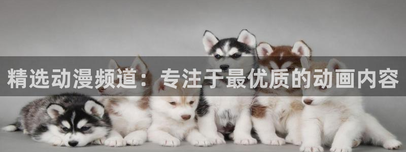 免费下载omofun：精选动漫频道：专注于最优质的动画内容