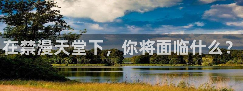omofun动漫网页版：在禁漫天堂下，你将面临什么？