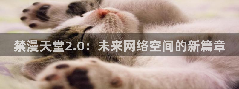 omofun免签：禁漫天堂2.0：未来网络空间的新篇章