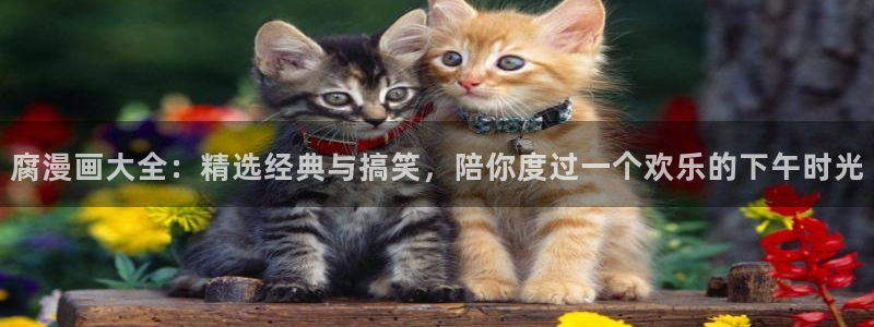omofun动漫免费观看官网：腐漫画大全：精选经典与搞笑，陪你度过一个欢乐的下午时光