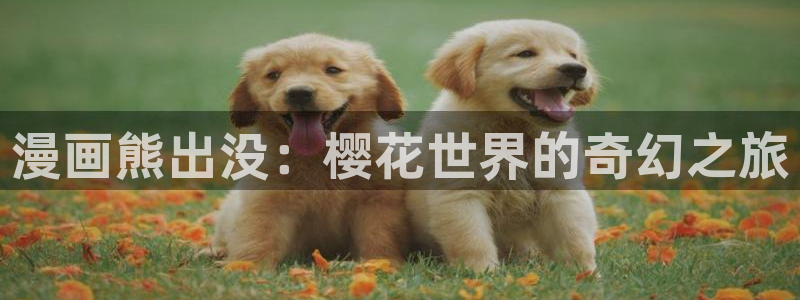 omofun动漫软件下载：漫画熊出没：樱花世界的奇幻之旅