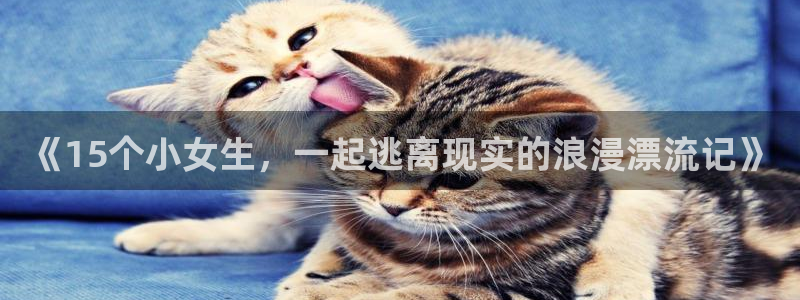 omofun动漫在线观看看：《15个小女生，一起逃离现实的浪漫漂流记》