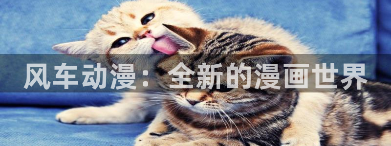 omofun弹幕网：风车动漫：全新的漫画世界