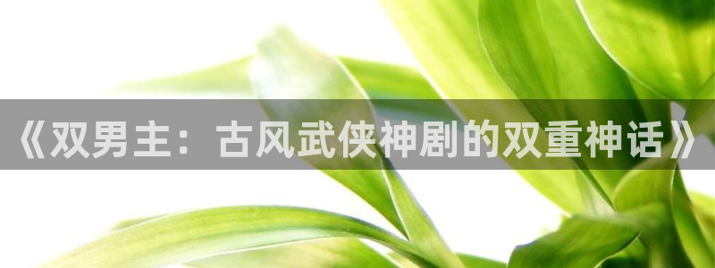 omofun官方下载入口：《双男主：古风武侠神剧的双重神话》
