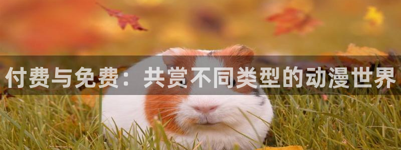 http://omofun：付费与免费：共赏不同类型的动漫世界