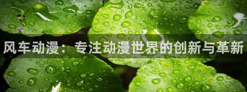 下载omofun：风车动漫：专注动漫世界的创新与革新
